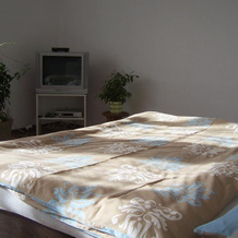Ubytovani Trojakova, Přísečná — photo 4
