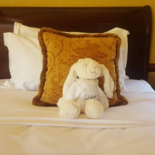 De Hoek Country Hotel, Magaliesburg — photo 4