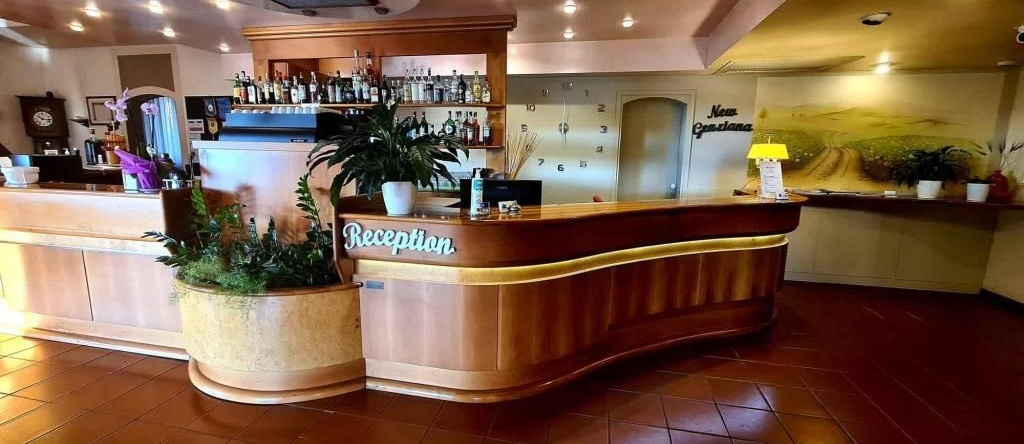Hotel New Genziana, Montecchio Maggiore — photo 1