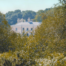 Lime Wood, Линдхерст — фото 5