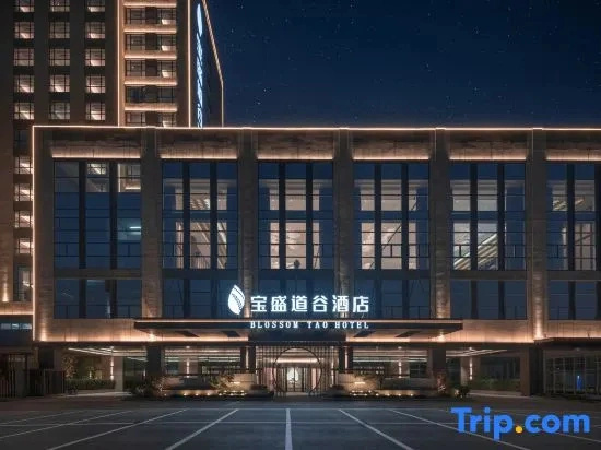 Tai'an Blossom Tao Hotel, Taian — photo 1