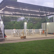 Alona Whitehouses Resort, Tawala — photo 4