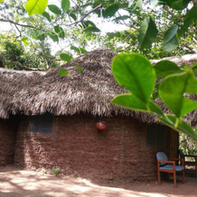 Selous Adili Forest Camp, Млока — фото 3