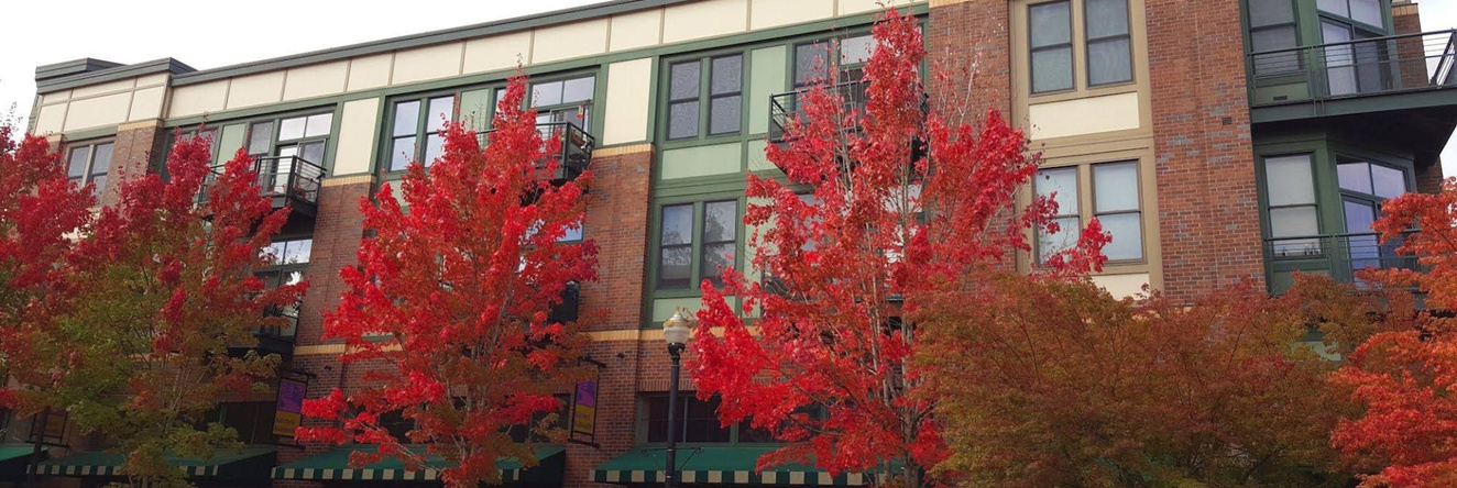Orenco Lofts, Хиллсборо — фото 1