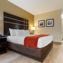 Comfort Inn North of Asheville, 马尔斯希尔 — 照片 5