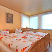 Luxury Cottage in Grunbach Saxony near Lake, Grunbach — photo 5