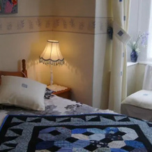 Plasnewydd Bed and Breakfast, 兰沃蒂德韦尔斯 — 照片 3