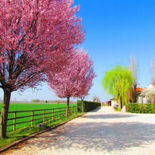 Agriturismo Le Cipressine, 梅奥洛 — 照片 5