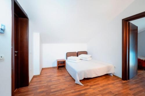 Vila Tisa, Ramnicu Valcea — photo 1