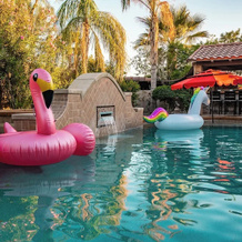 Runaway, Getaway, Swim Away In A Luxury Home, Индио — фото 5