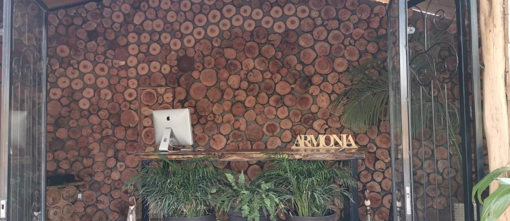 Villa Armonia Hotel & Spa, 霍科特佩克 — 照片 1