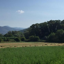 B&B La Nonnina del Cilento, 卡萨尔韦利诺 — 照片 2