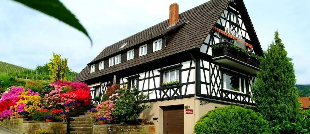 Pension am Weinberg Heidi Spinner, 萨斯巴赫瓦尔登 — 照片 1