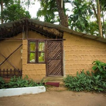 Shanthi Kunnj Homestay, 希卡马加卢鲁 — 照片 3