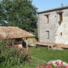 Masseria Lepore, 阿波洛萨 — 照片 5