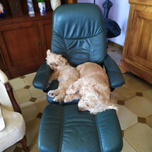 Villa Violette, Ensues-la-Redonne — photo 5