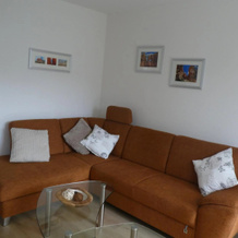 Ferienwohnung Mainz-Weisenau, Mainz — photo 5