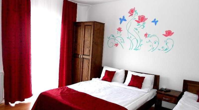 Pensiunea Izișoara Resort, 博尔萨 — 照片 1