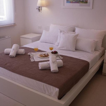 Guest House Villa Dagmar, 茨里克韦尼察 — 照片 3