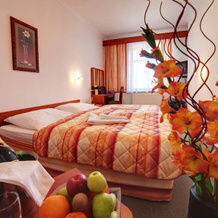 Wellness Hotel Luzan, Румбурк — фото 5