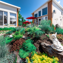 Aspen Guest House, 阿尔希波-奥西波夫卡 — 照片 5