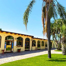 Hotel Oasi Del Cilento, 阿凯亚 — 照片 4