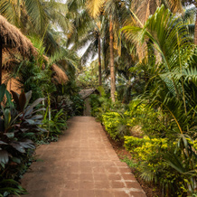 Anahata Retreat Goa, Ашвем — фото 5