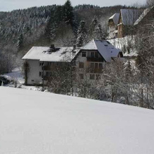 Pension Schneider, Freiamt — photo 5