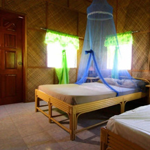 Parrot Paradise Resort, Алькой — фото 3