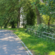 Thistle Close, Barnard Castle — photo 2