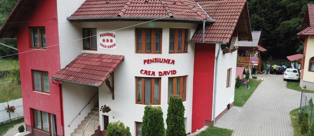 Pensiunea Casa David, Окна-Сибиулуй — фото 1