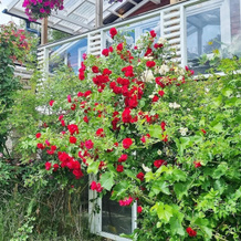 4 Person Holiday Home In Arsta Havsbad, Ханинге — фото 5