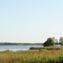 Single Storey Bungalow With a Fireplace, not far From Assen, Dwingeloo — photo 4
