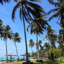 Arys Lagoon Bungalow & Hotel, 哲帕拉 — 照片 4
