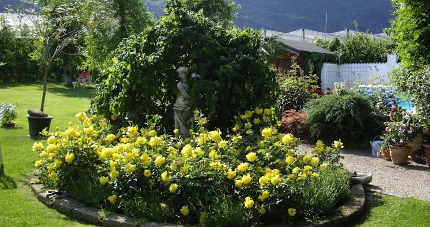Krösshof RosenPension "Pensione Delle Rose", 纳莱斯 — 照片 1