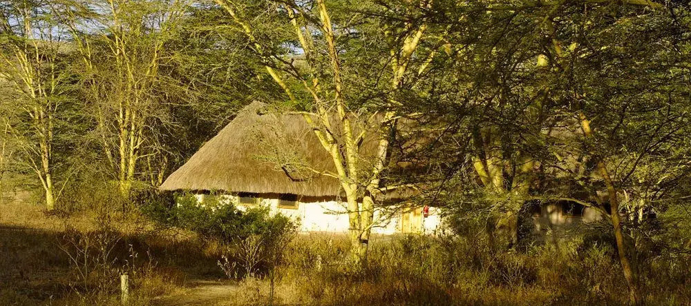 Kigio Wildlife Camp, Гилгил — фото 1