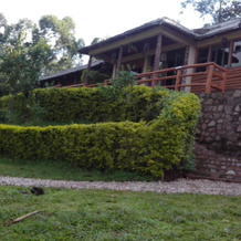 Bwindi Forest Lodge, Национальные парки западной Уганды — фото 2