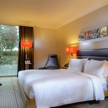 Hilton Zurich Airport, 奥普菲孔 — 照片 4