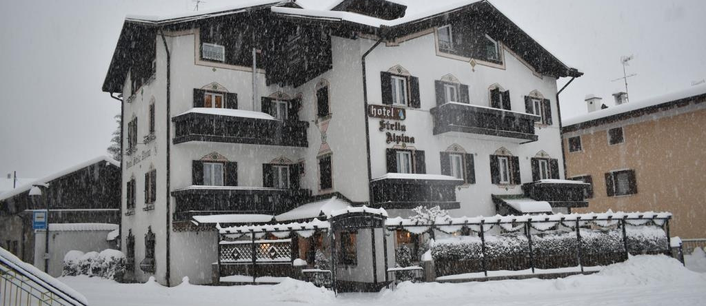 Hotel Stella Alpina, 法伊德拉帕加内拉 — 照片 1