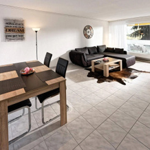 Max Aviation Villa & Apartments, 伯尔尼 — 照片 4