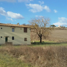 Podere Greve Chianti, San Casciano in Val di Pesa — photo 4
