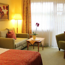 Hotel Zum Stein Wellness & Genuss Resort, 奥拉宁鲍姆-沃利茨 — 照片 4