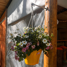 Glamping Zvezdnyij Les, Богданово — 照片 4