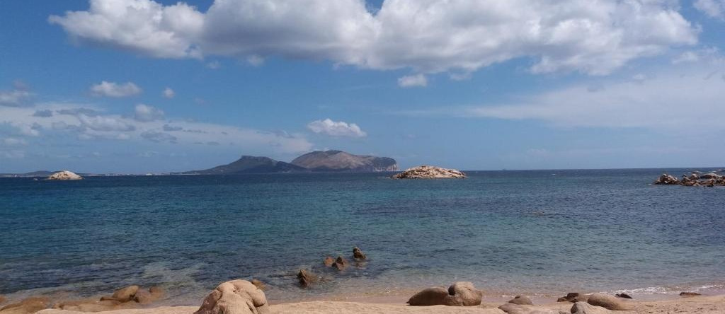 I Due Ciuchini Sardinia, Сассари — фото 1