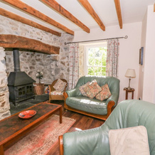 Derry Cottage, Лампитер Велфри — фото 4