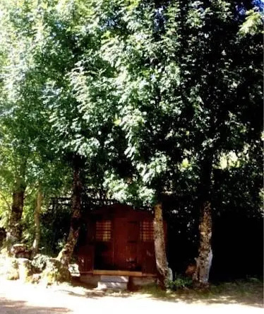 Camping El Cares Picos de Europa, 波萨达德巴尔德翁 — 照片 1
