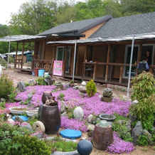 Noul Pension, Chuncheon — photo 2
