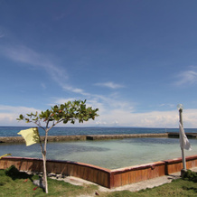 Villa Agatona Garden Beach Resort, Oslob — photo 5
