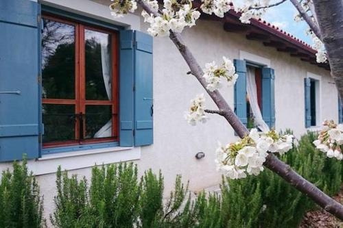 Ktima Muson Guesthouse, Левадия — фото 1