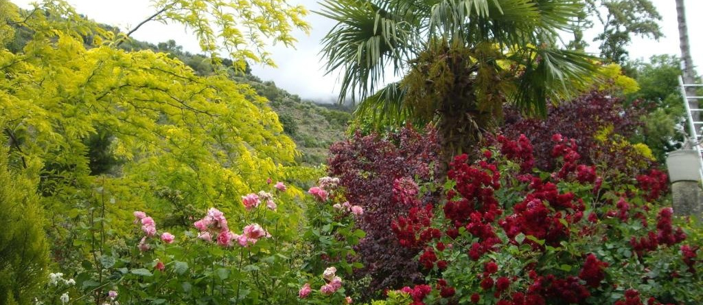 La Casita, 托雷斯 — 照片 1